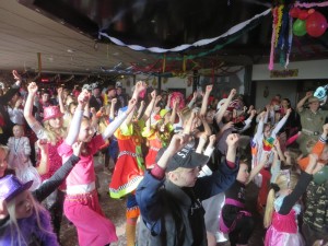 Carnaval 2015 - Zondag
